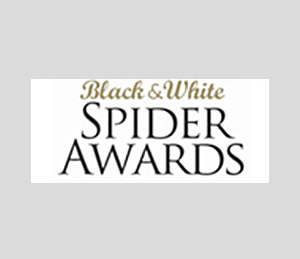bekroonde fotograaf voor fijne naaktkunst en boudoirfotografie  - award winning photographer for fine nude art and boudoir photography 